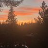 cooper_10_17