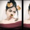 aleiseaa