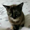 kaaaymoteandcheese
