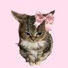 .pinkie_p1e