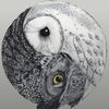 spirit0wl