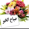 user7557240484533