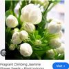 its.rajpoot359