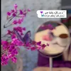 no..na6