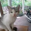 wisnu.pras00