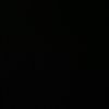 xelia_2811