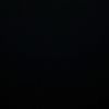 mithun_____________