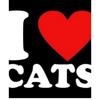 i_love_cats037