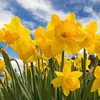 lyndaedwards748