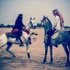 mohamed_fahim12
