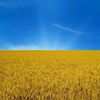 andreikovalchuk16