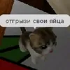 checheniye