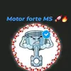 motorfortems_