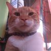 diego_589