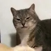 riksus0