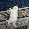fatma_11m