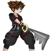 magnificentroxas