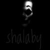 hazem.shalaby11