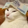 vysu_1512