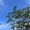 mongz_78