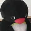 winkwiwss