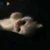 nathifa_322