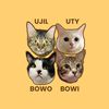 pawbubu