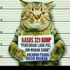 kucing_napi