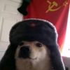 vlados_velikiistalker