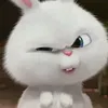 namecong7