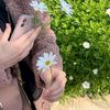 user2069462005363