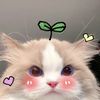 mjshop_8859