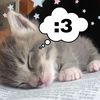 swagcatlover420