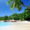 justbeachy58
