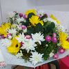 ilanailana1234