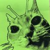 vacum_cat