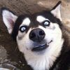 el_coyote3
