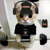andres_fit.29