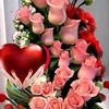 user7189814823072wisly