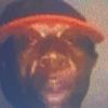 funkymonkey64838