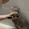 trphuonggw