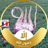 yousriabdeltawab