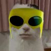 beetrx0_0