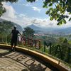 aldo_yalli