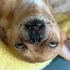 Là Vân Phạm nhưng chill 😜