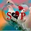 sandeepkumar147280