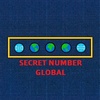 secretnumber.global