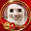 nhincai_l_o_n1