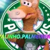 cavalinho.palmeirense