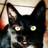 nadie_0102